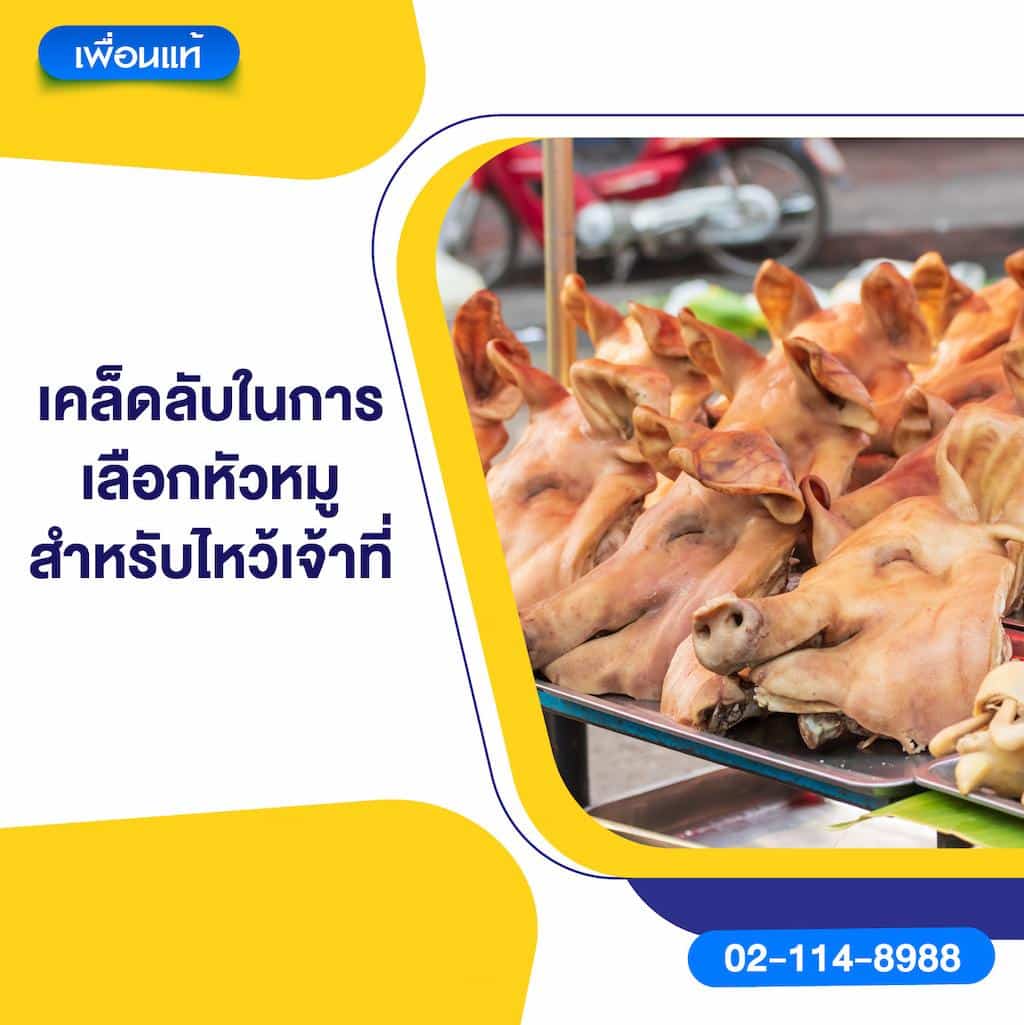 เคล็ดลับในการเลือกหัวหมูสำหรับไหว้เจ้าที่