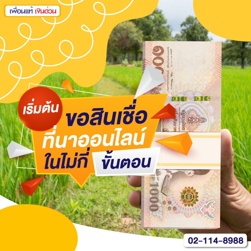 สินเชื่อที่นา, สินเชื่อ เพื่อ การเกษตร, สินเชื่อเพื่อการพัฒนาที่ดิน, สินเชื่อเพื่อการลงทุน