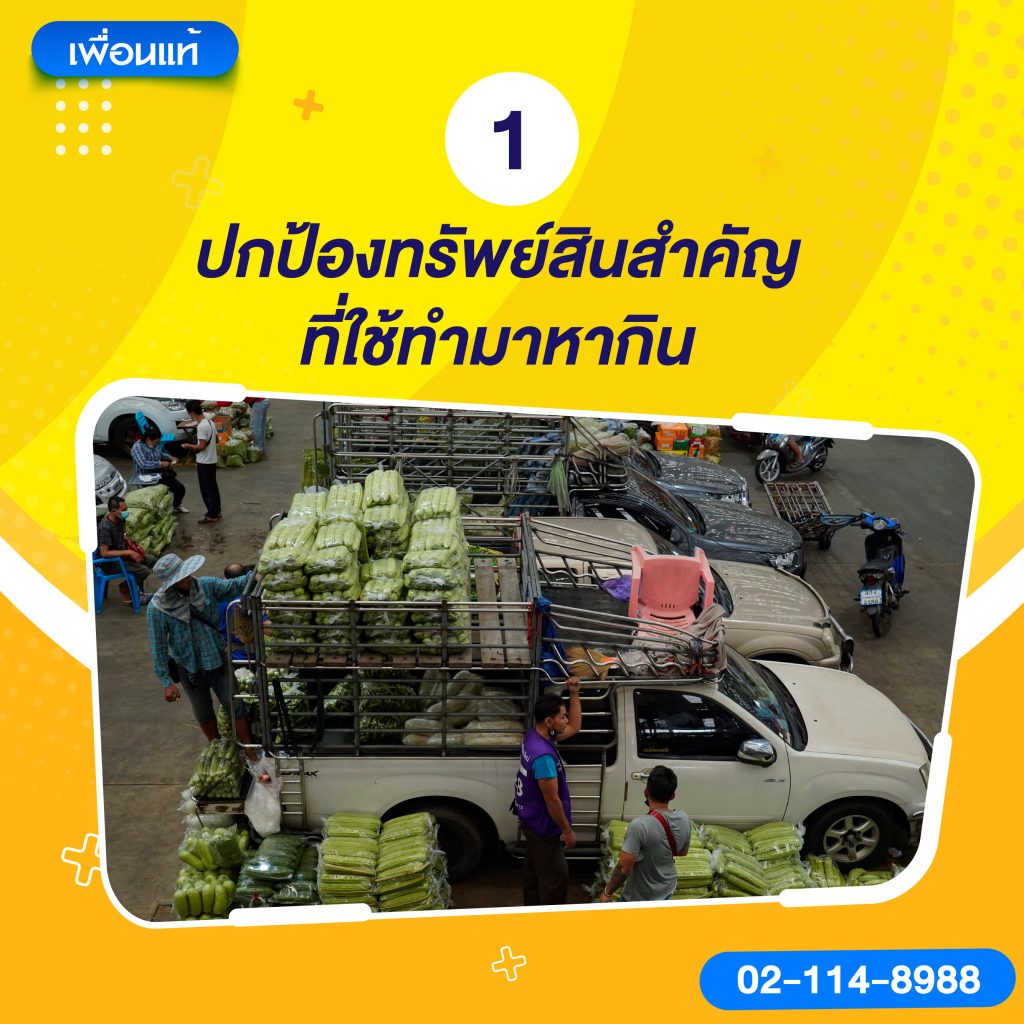 ปกป้องทรัพย์สินสำคัญที่ใช้ทำมาหากิน